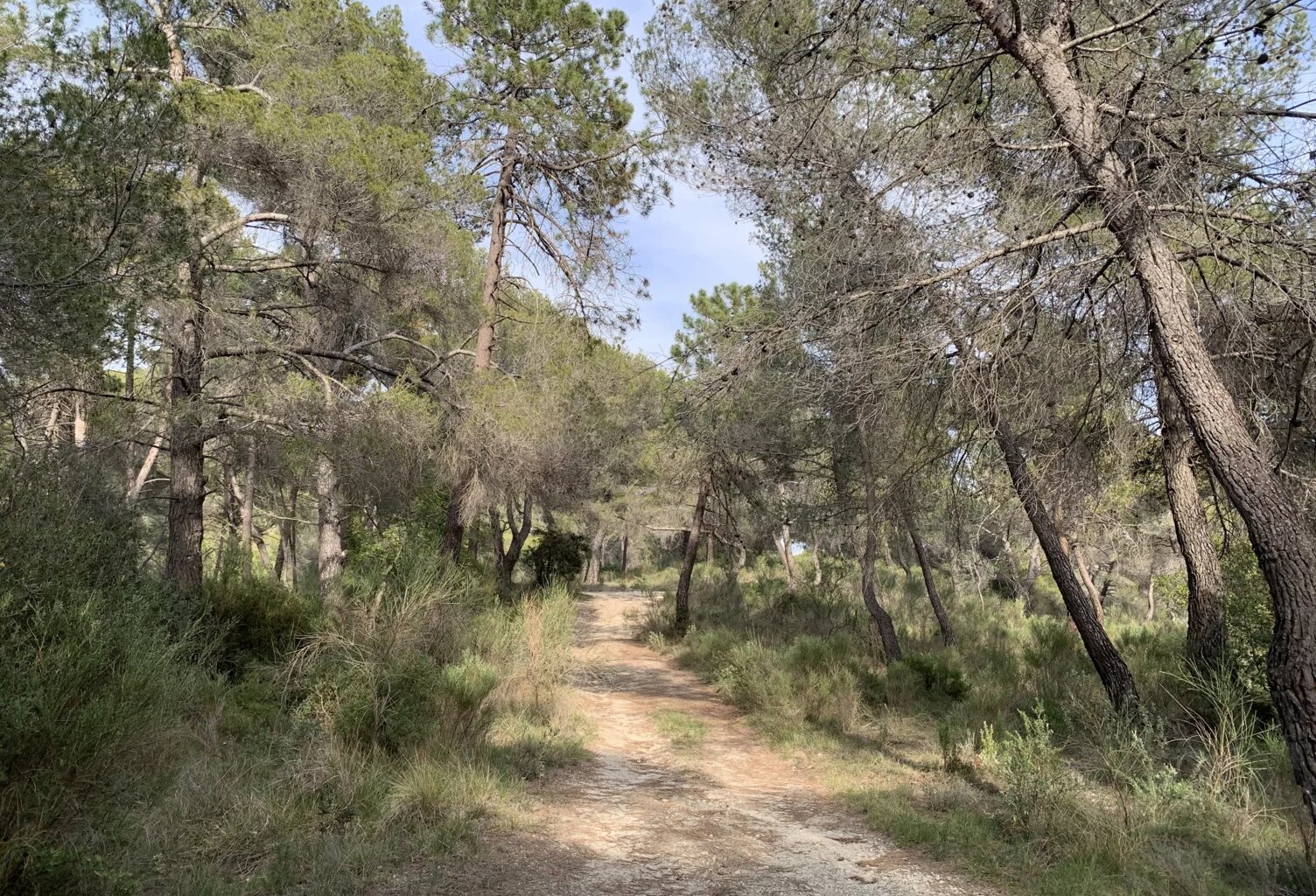 IDÉAL POUR AMOUREUX DE LA NATURE — photo 1