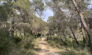 Terrain  11961 m² à vendre à Peille (06440)