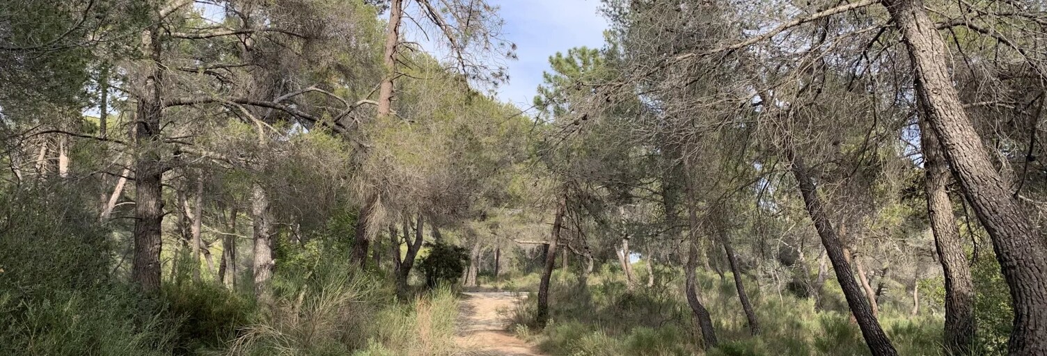 Terrain  11961 m² à vendre à Peille (06440)