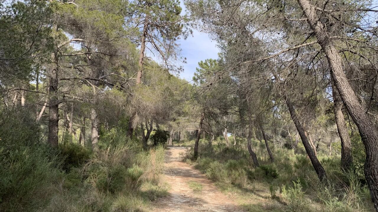 terrain  pièces 11961 m2 à vendre à Peille (06440)