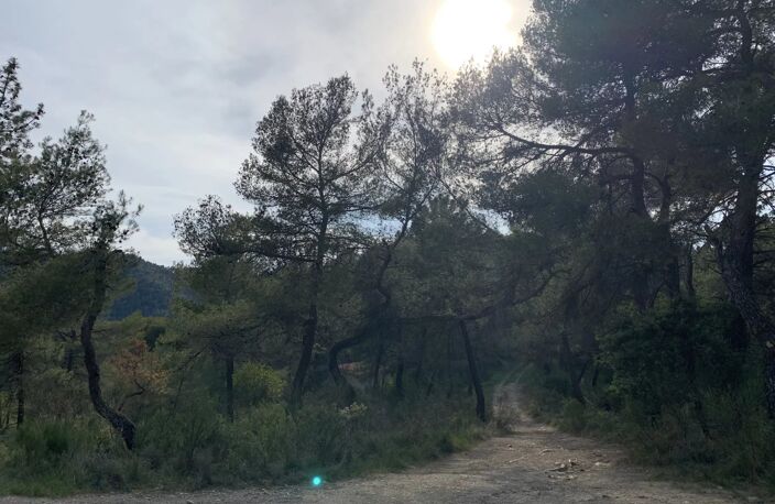 IDÉAL POUR AMOUREUX DE LA NATURE — photo 2