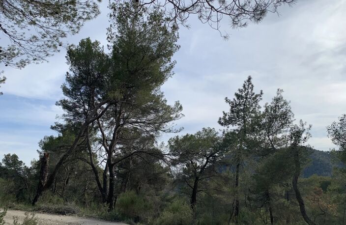 IDÉAL POUR AMOUREUX DE LA NATURE — photo 3
