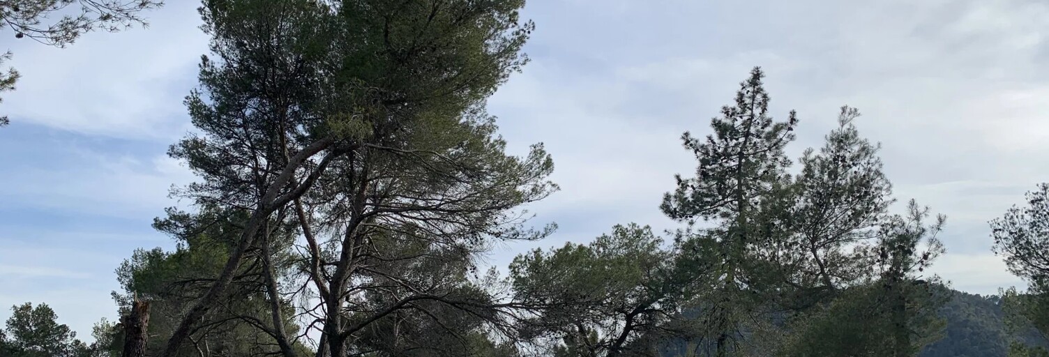 Terrain  11961 m² à vendre à Peille (06440)