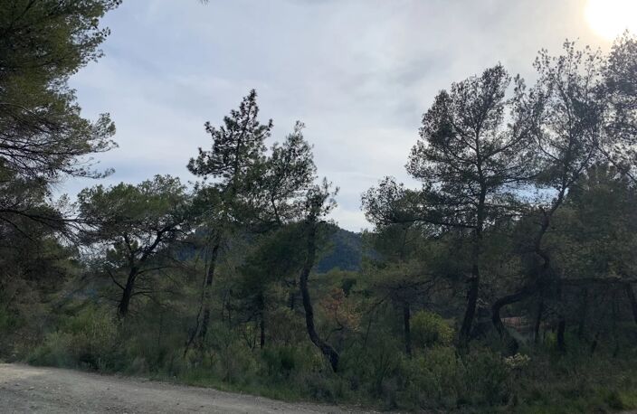 IDÉAL POUR AMOUREUX DE LA NATURE — photo 4