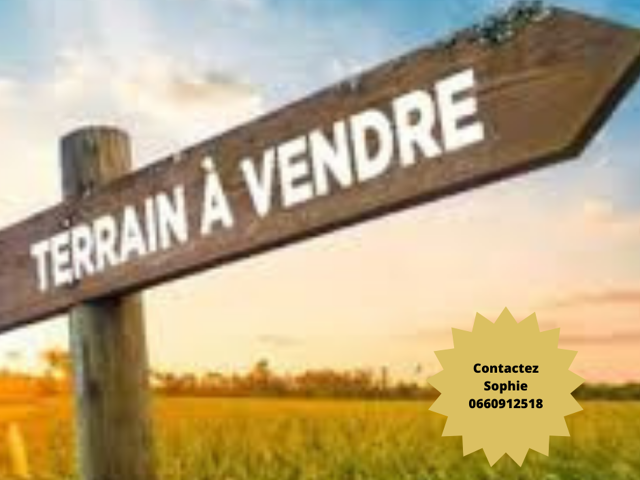 terrain biscarrosse — photo du bien