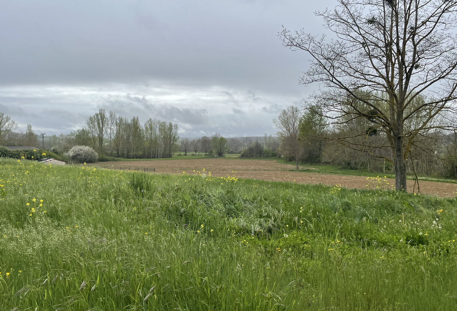 Magnifique Terrain constructible hors lotis. 1500m2 - réseaux en bordure — photo 1