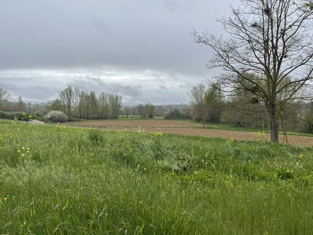Terrain proposé à Sainte-Suzanne