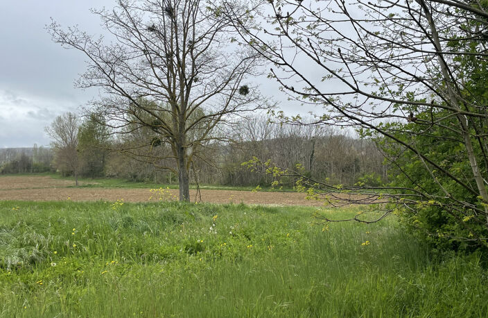 Magnifique Terrain constructible hors lotis. 1500m2 - réseaux en bordure — photo 2