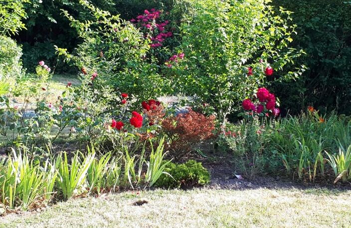 Vente maison 6 pièces 216 m² Canlers (62310) — photo 3