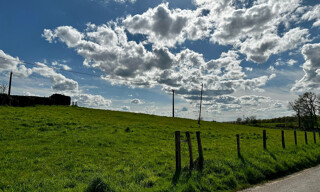 Photo N° 3