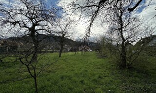 Photo N° 4