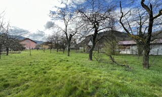 Photo N° 5