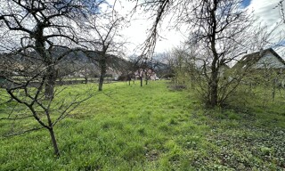 Photo N° 6