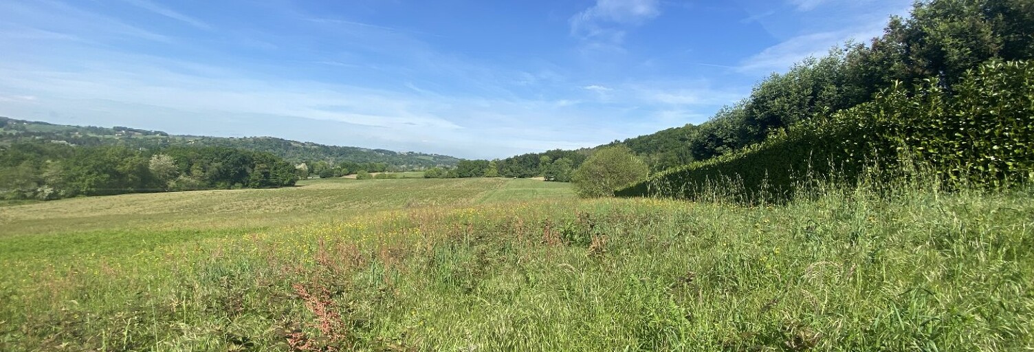 Terrain  4916 m² à vendre à Orthez (64300)