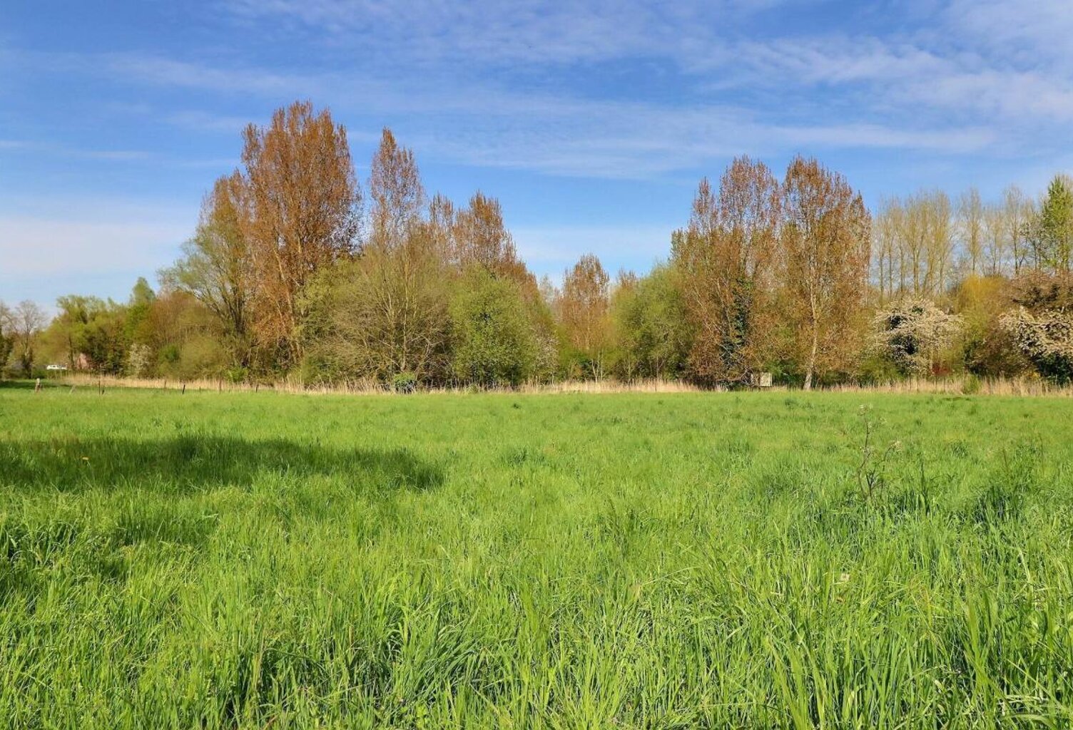 Terrain constructible Paillencourt — photo 1