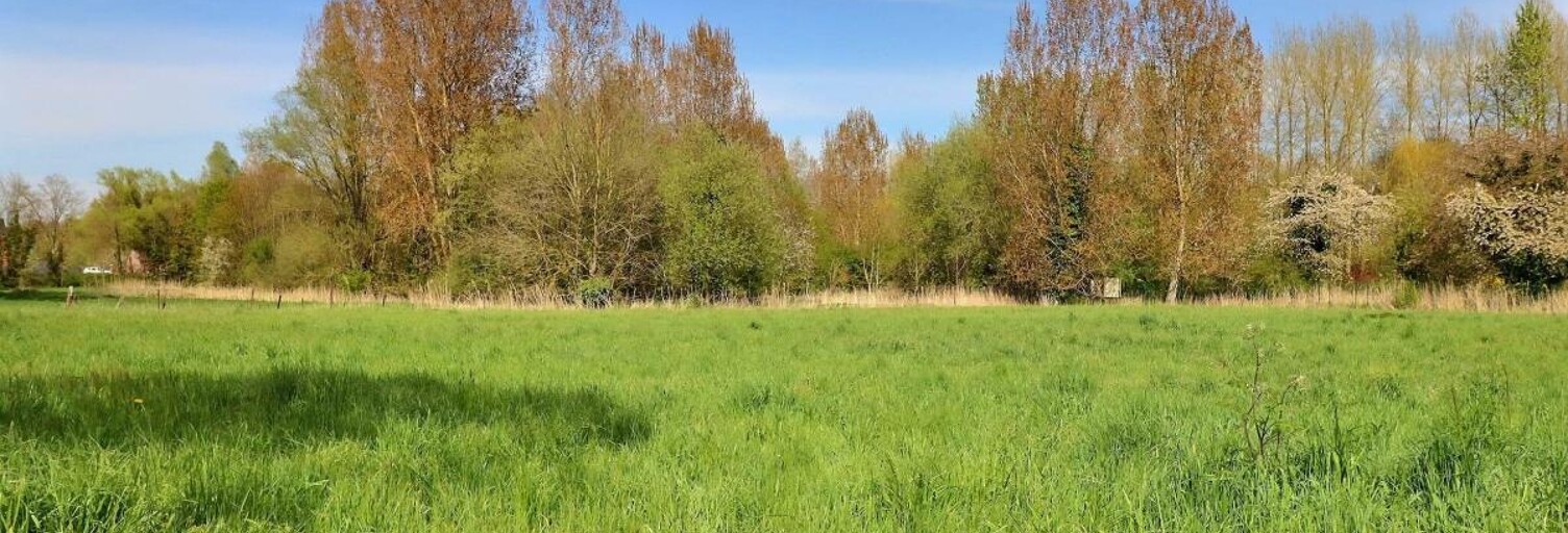 Terrain  4202 m² à vendre à Paillencourt (59295)
