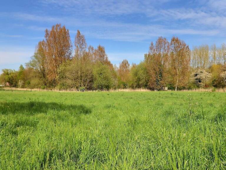 Terrain constructible Paillencourt — photo 1