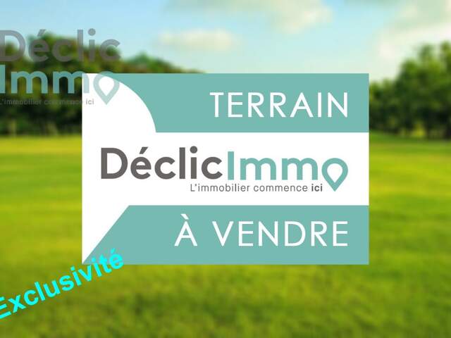 Terrain boisé — photo du bien
