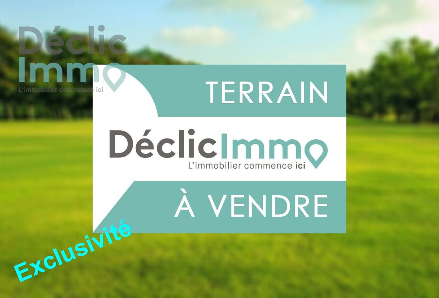 Terrain boisé  — photo 1