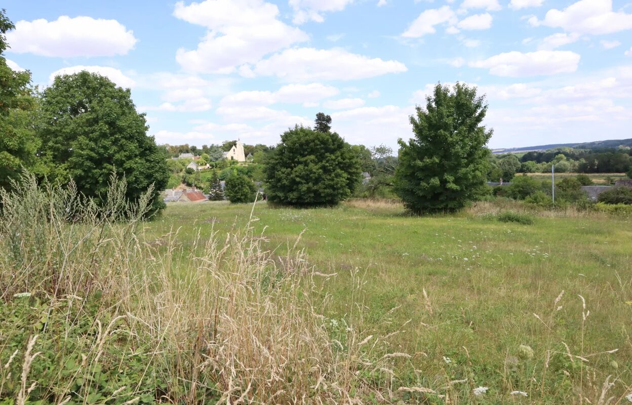 terrain  pièces 5330 m2 à vendre à Ponce-sur-le-Loir (72340)