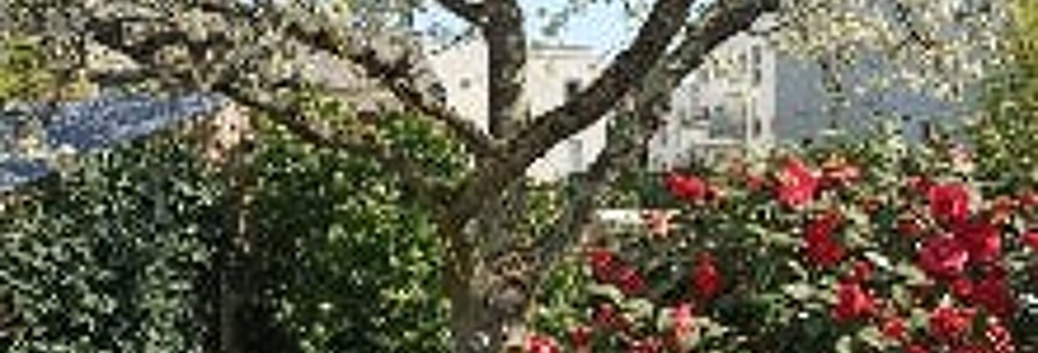 Maison 4 Pièces 78 m² à vendre à Angers (49000)