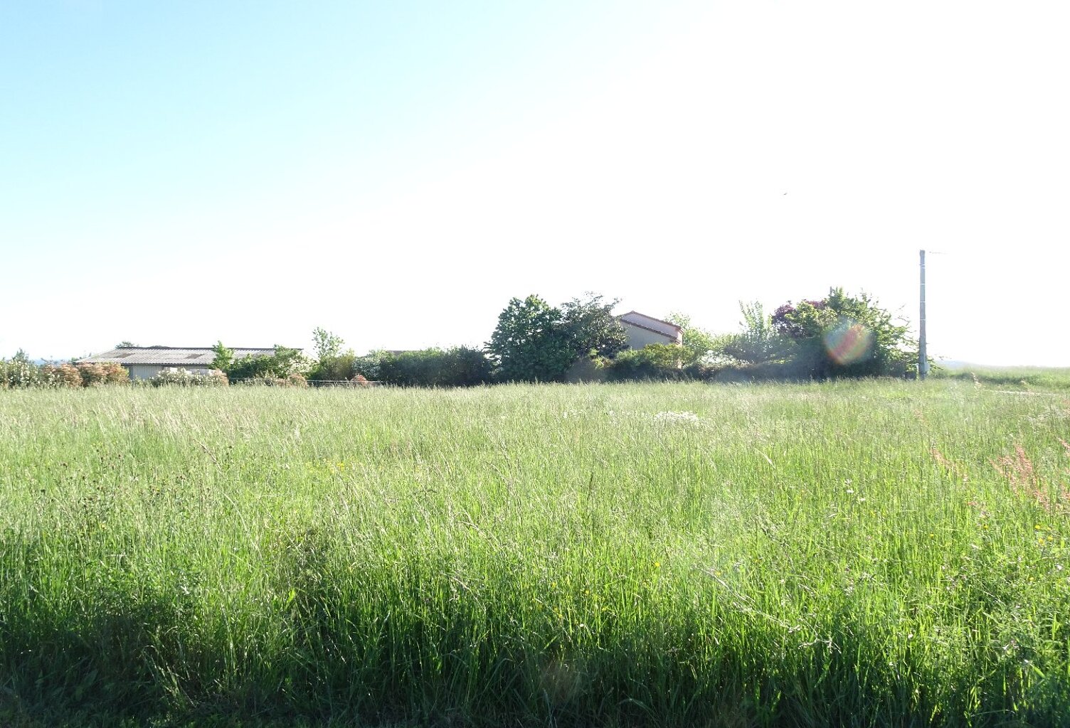 Terrain — photo 1