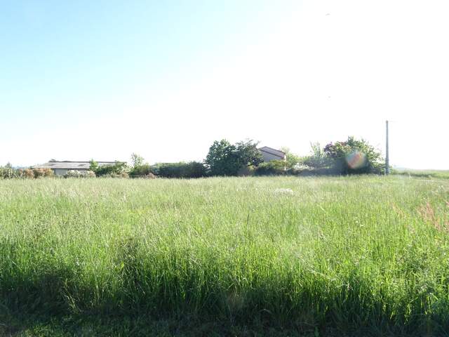 Terrain — photo du bien