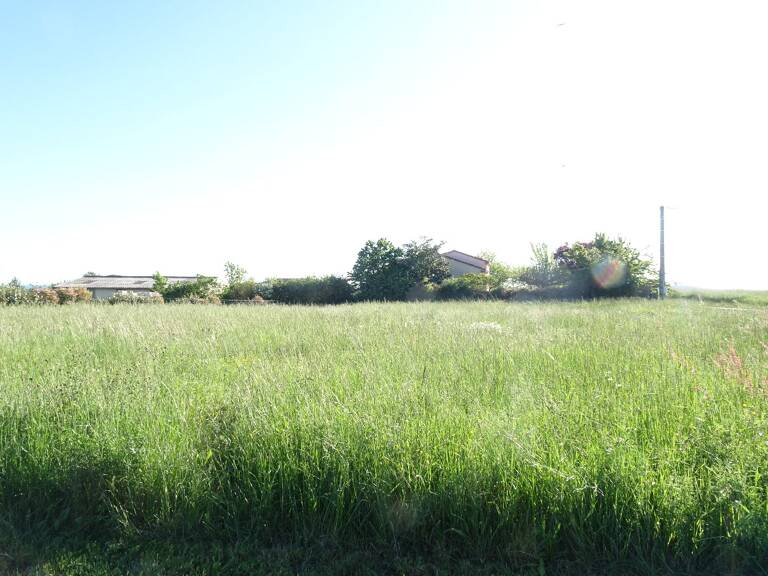 Terrain — photo 1