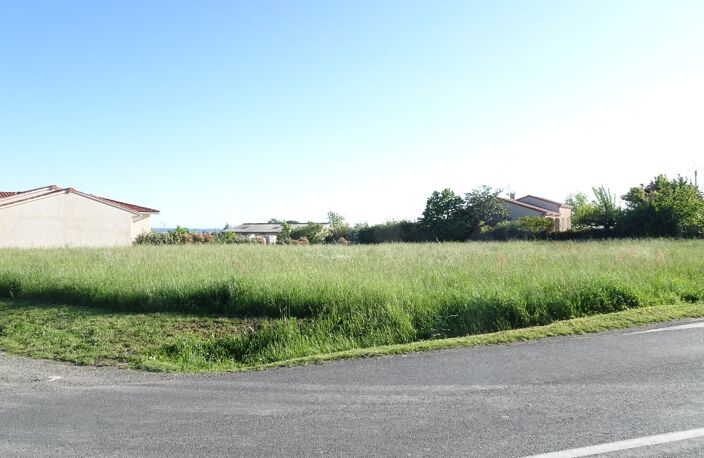 Terrain — photo 3