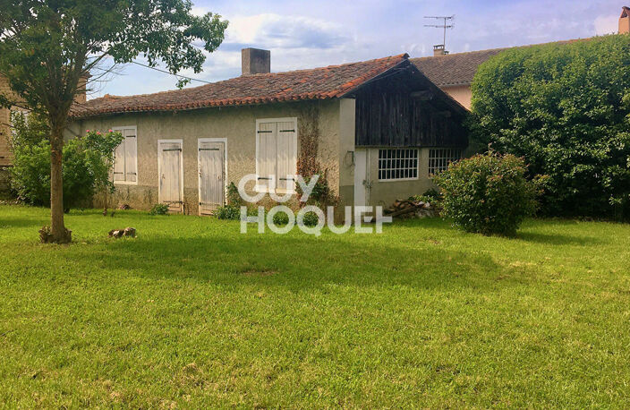 maison — photo 4