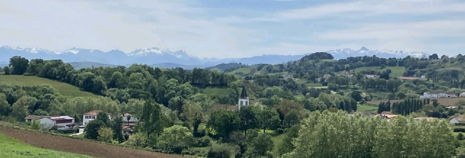 Maison 6 Pièces 205 m² à vendre à Amorots-Succos (64120)