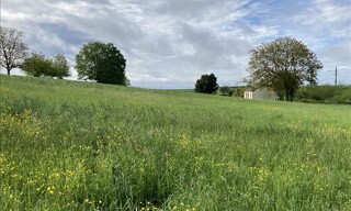 Terrain  830 m² à vendre à Noyant-de-Touraine (37800)