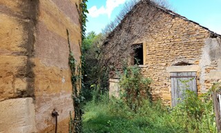 Photo N° 5