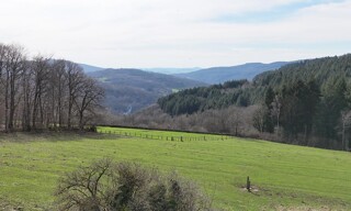 Photo N° 4