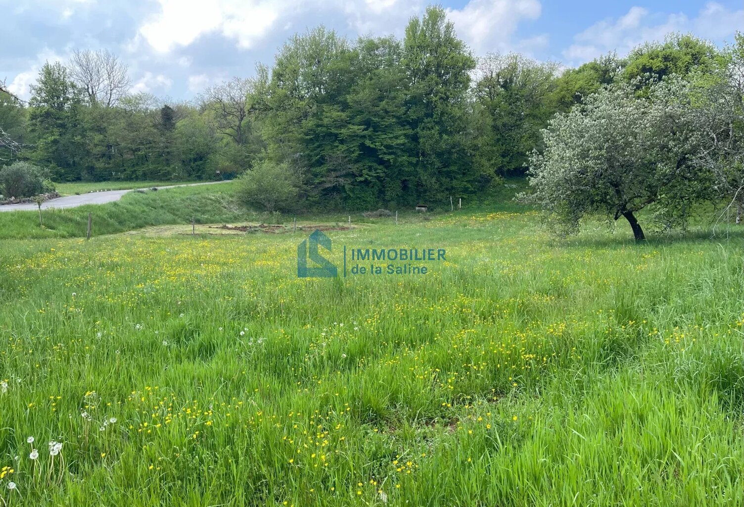 PARCELLE CONSTRUCTIBLE — photo 1