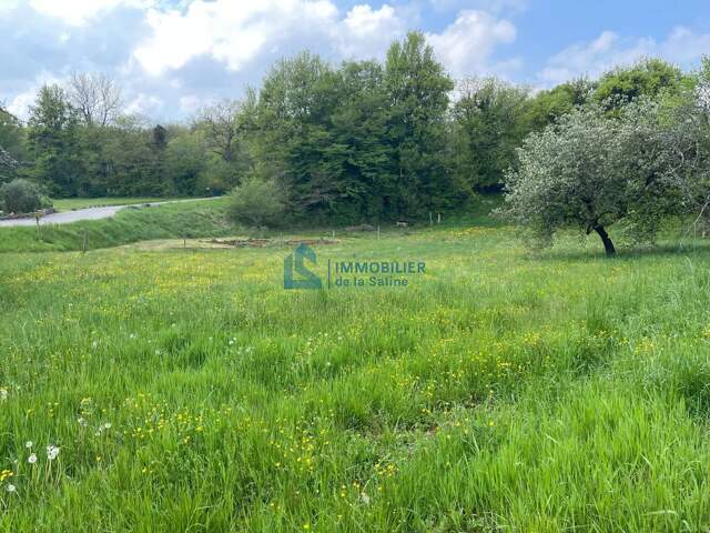 PARCELLE CONSTRUCTIBLE — photo du bien