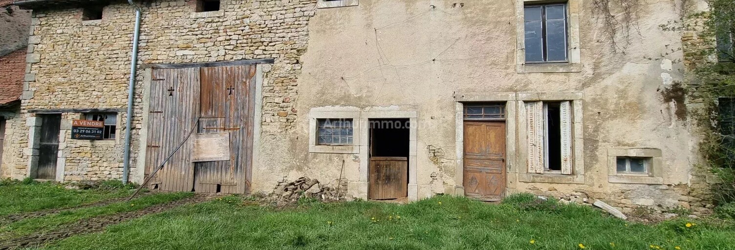 Maison 4 Pièces 309 m² à vendre à Graffigny-Chemin (52150)