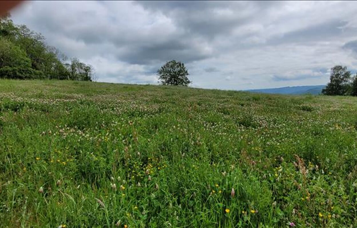 terrain  pièces 3000 m2 à vendre à Chenailler-Mascheix (19120)