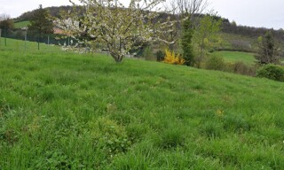 Terrain  750 m² à vendre à Saint-Didier-au-Mont-d'Or (69370)