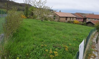 Photo N° 3