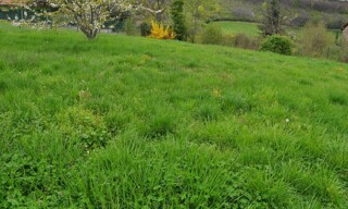 Terrain  750 m² à vendre à Saint-Didier-au-Mont-d'Or (69370)