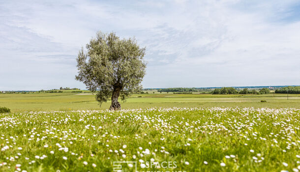 Villa / Maison 9 pièces  à vendre Royan 17200