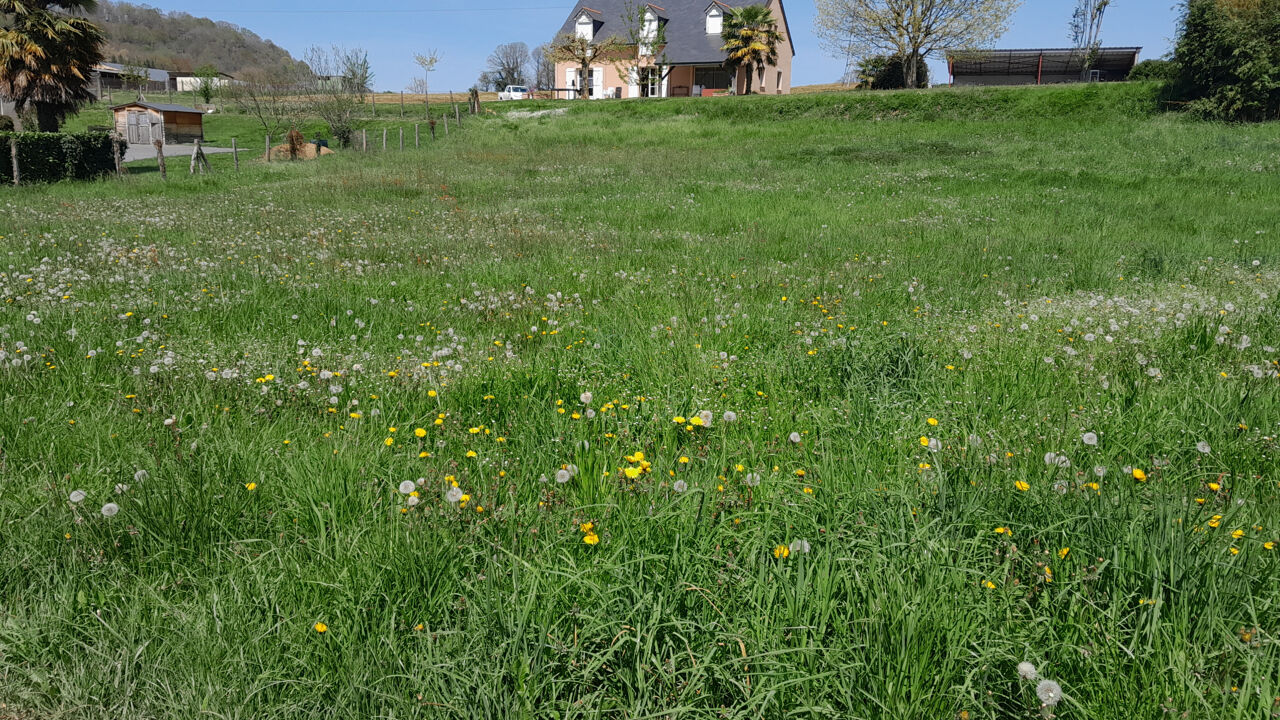 terrain  pièces 1097 m2 à vendre à Lourdes (65100)