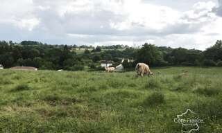 Terrain  23408 m² à vendre à Bagnac-sur-Célé (46270)
