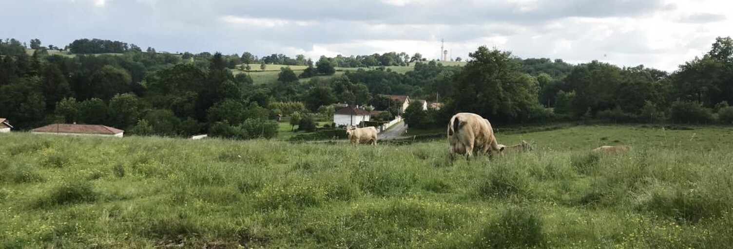 Terrain  23408 m² à vendre à Bagnac-sur-Célé (46270)