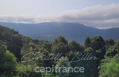 vente terrain 270 000 € à proximité de Monacia-d'Aullène (20171)
