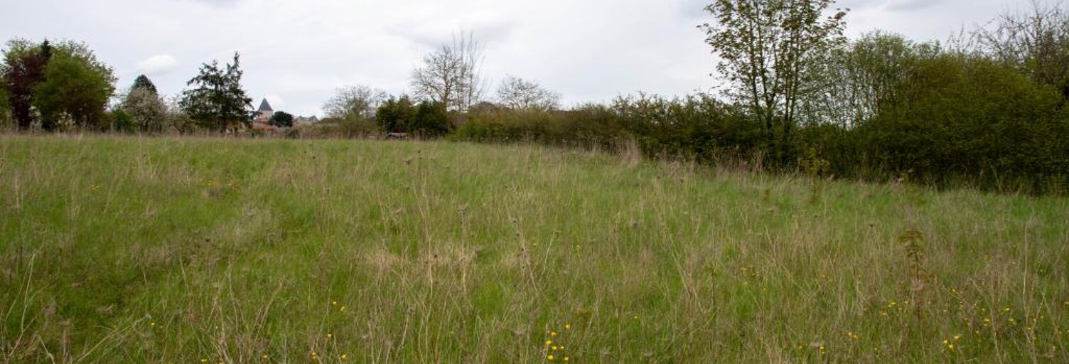 Terrain  1715 m² à vendre à Montmirail (51210)