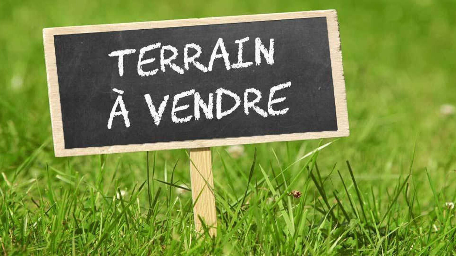 Aperçu de la visite vidéo