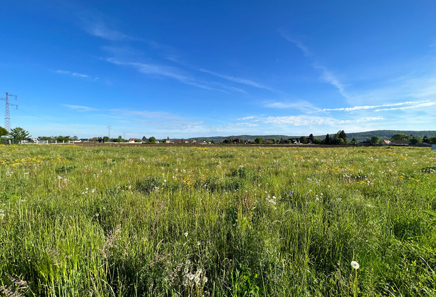 Terrain Borderes 1250 M² m2 — photo 1