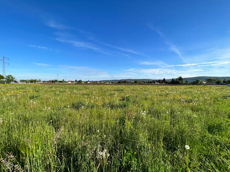 Terrain Borderes 1250 M² m2 — photo 1